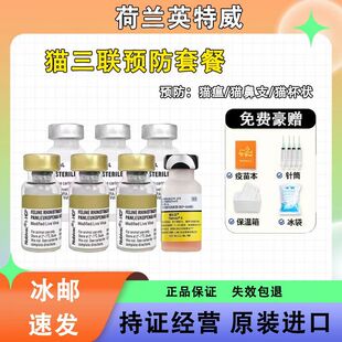 �M��؈����������؈��؈������A��؈��؈��֧��Ȯ�Դ������ײ�