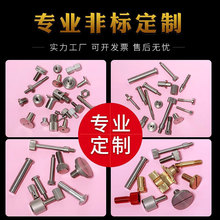 定做各类非标自攻钉定制电子精密小螺丝钉六角梅花电脑精密五金件