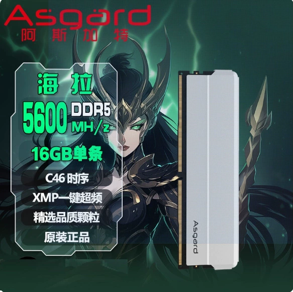 Оперативная память (Asgard) DDR5-5600 16 ГБ C46, поддержка XMP, радиатор титаново‑серебристый