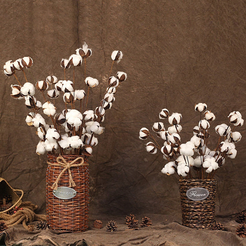 Naturally-Dried-Cotton-Flowers
