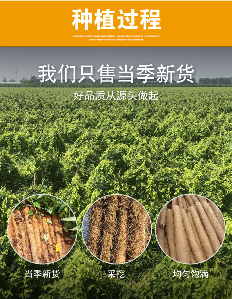 Shan Yao Slices (Dioscorea opposita) — Dried Chinese Yam Root for Tea & Soup, 140g Jar preparation