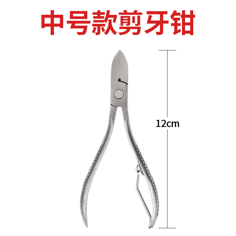 Alicates de corte de dientes de cochinillo de codo recto Tipo de metralla alicates de corte de dientes de acero inoxidable de tamaño pequeño alicates de corte de dientes de cerdo grande