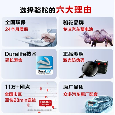 Camel Brand Battery L2400 Car battery/battery