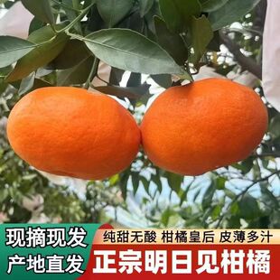 �Fժ�F�l�����Ĵ�����Ҋ���ٰҰҸ���������ۻ������rˮ�������