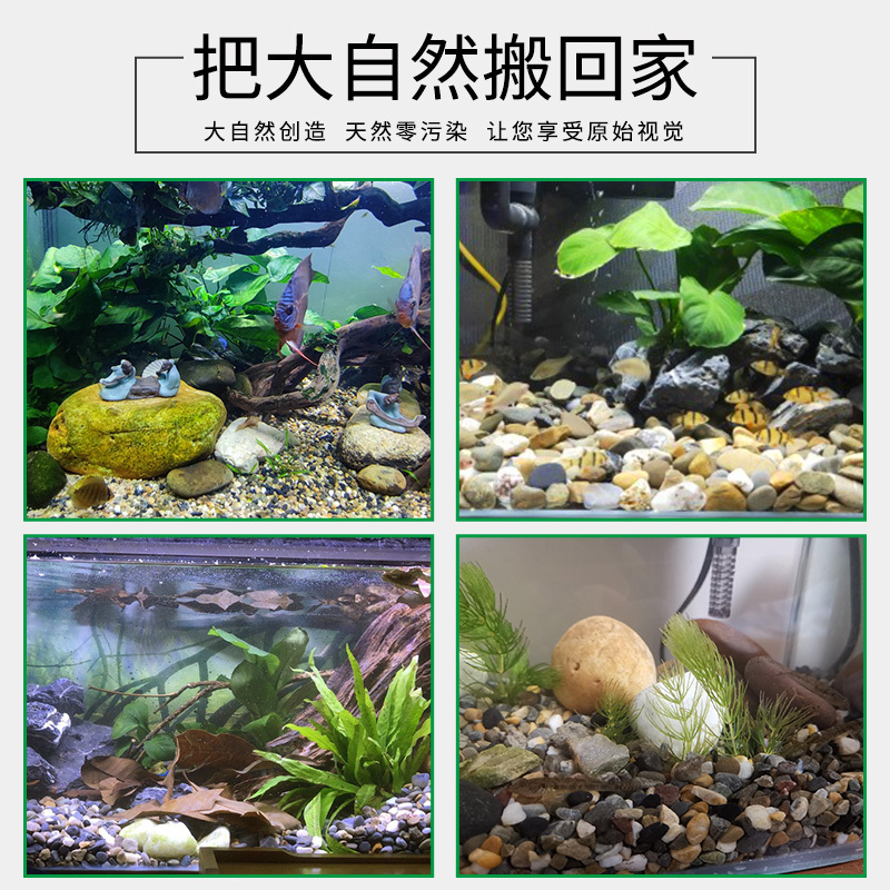 ストリームストーン水槽底砂舗装天然生態亀水槽石水族館用石造園|undefined