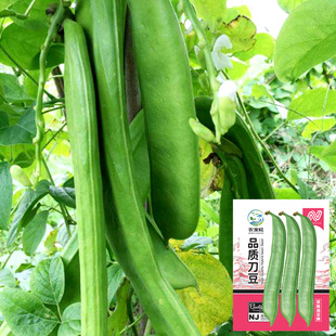 ���l��t�����N�Ӿ��ʹ��N�џo���ļ��Ͷ��N���������ٶ��ǷN��