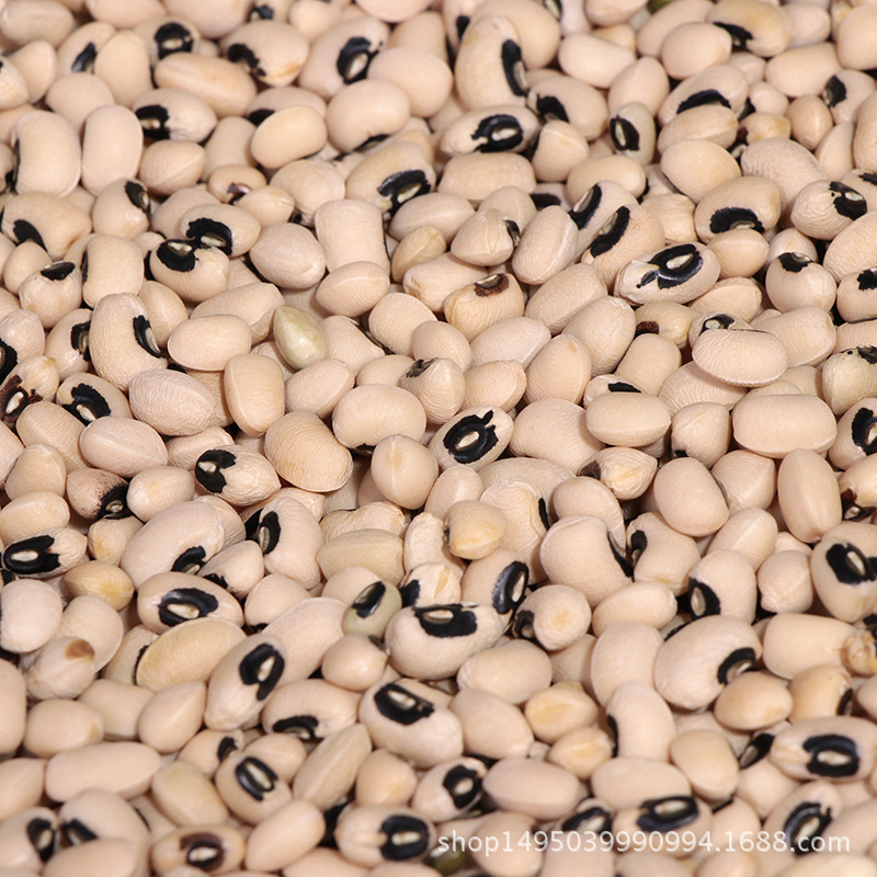검은 입 백색 cowpea 곡물 백색 cowpea 백색 쌀 콩 눈썹 콩 도매 곡물 공급 대량 다크 브라운 입
