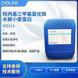 羟丙基三甲基氯化铵水解小麦蛋白WQ113保湿修复季铵化蛋白厂家