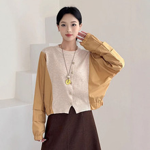 韩国东大门代购秋装大码女装新款时尚撞色毛衣拼接纽扣套头衬衫其