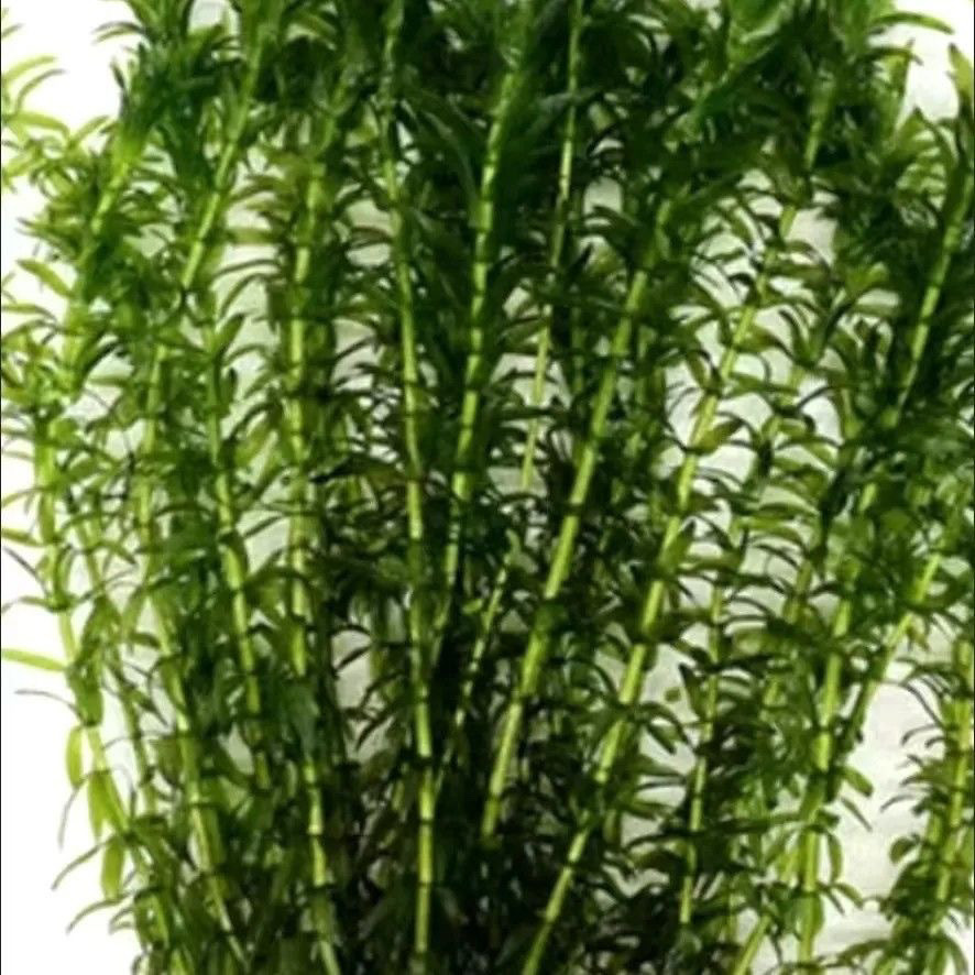 b93f2e78-54e1-4e96-a383-cba4086fc175.jpe