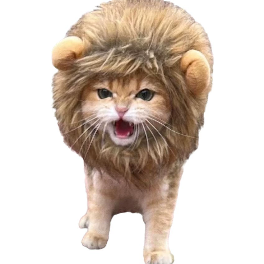 Интернет-сенсация: головной убор для кошки в виде льва с ушками кролика, забавный костюм на Хэллоуин, трансформирующий шляпа-маска