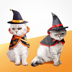 万圣节宠物狗狗猫咪衣服服饰搞怪服饰厂家直销跨境爆款宠物衣服