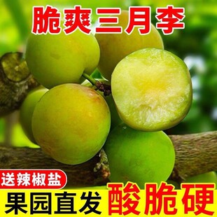���r�V����������������֭����ˮ��