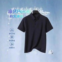 �ļ���ɫPOLO����ʿ���I�߼��̿��̄����e��ɫ����T��2026�¿�