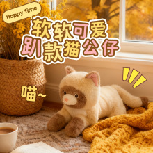 �������ɐۗl�y���_؈�乫��ë�q��߲�������ż˯�X���������l