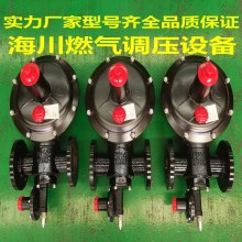 辽宁DN80燃气调压器RTZ-50/0.4A天然气减压阀窑炉稳压器调压箱