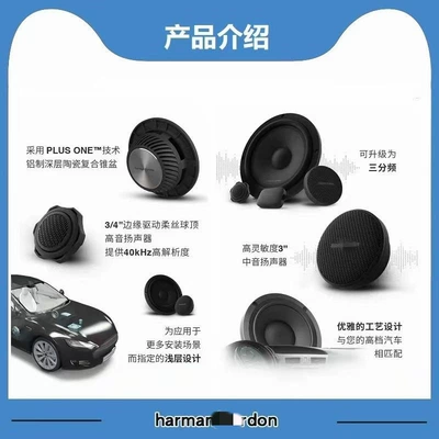 set 600CF300S car audio | Car horn/tweeter