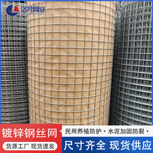 熱鍍鋅鋼絲網建築工地外牆加固鐵絲網養殖網格用電焊網