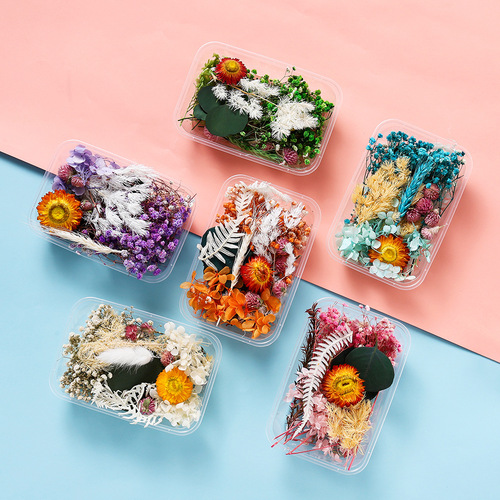 Preserved Flower Dried Flower Material Pack Floating Flower DIY Mini Pressed Flower Box Frame Fan Scented Droplet Resin Material Pack