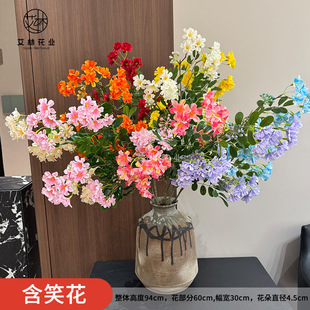 ��Ц�������Ʒ�|�Ҿ��bٻ�С���²廨��c�[��