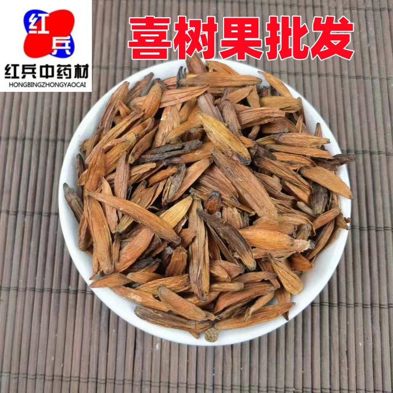Camptotheca Fruit Xi Shu Guo Dried Herb 1000g Bulk Raw Botanical overview