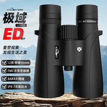 O12x56EDVϽpͲhRL;ͽ^B^ِݳp