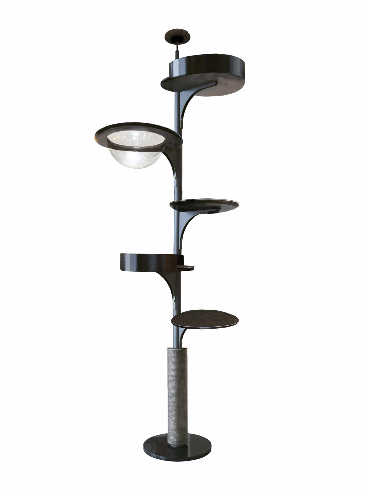 네잎, 가지 1개(검은 호두색, 높이 2.25— 2.7m )