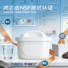 碧纯跨境家用净水滤芯适配于ZeroWater水壶Mavea水壶滤芯Aquagear
