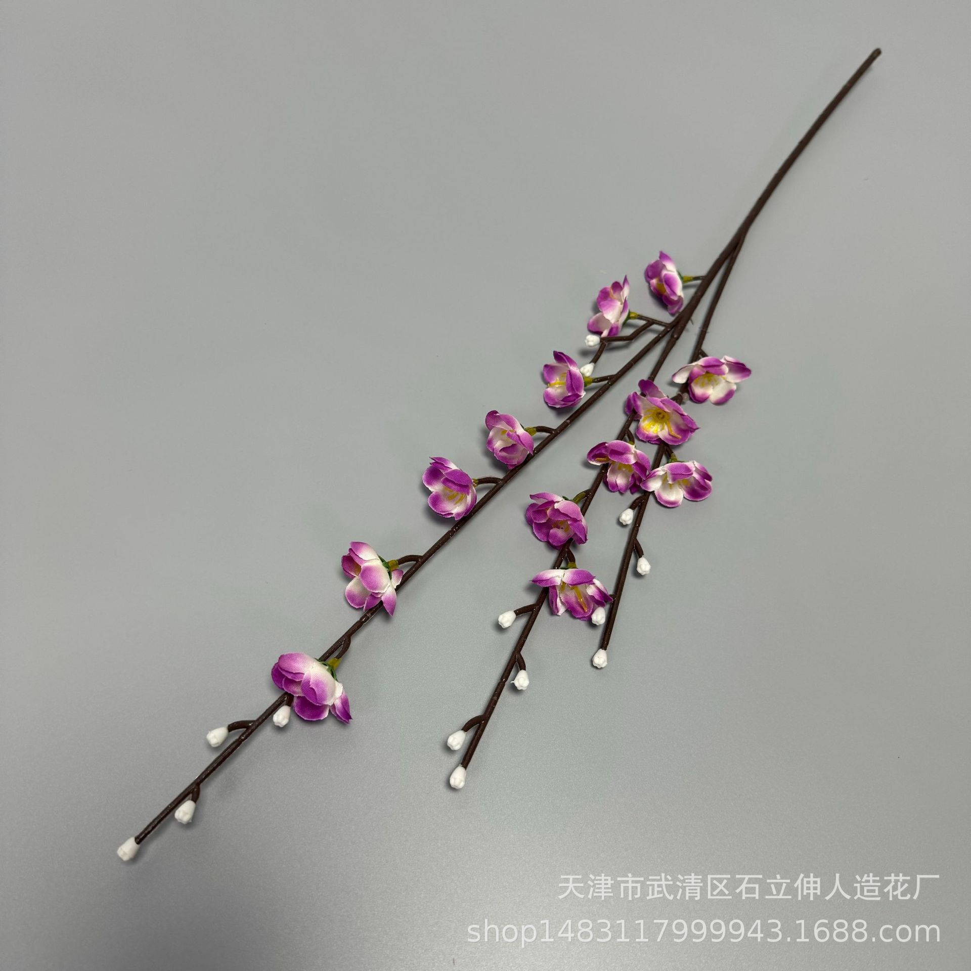 작은 3갈래 보라색