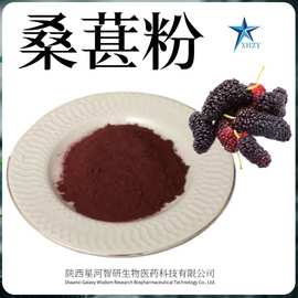 桑葚粉 桑葚提取物 星河智研现货附三方检测 桑葚果粉 桑葚汁粉