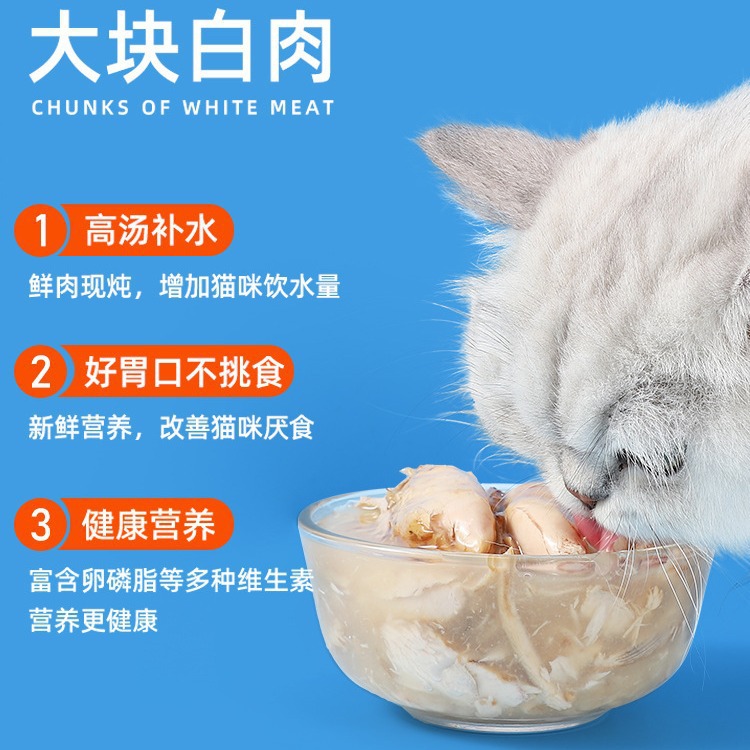 Alimentos básicos enlatados para gatos