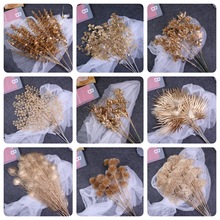 ��ɫ���滨�ȼ��������m��Y�����b[�����������ϼٻ��������