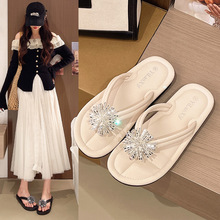 ���֛���Ů�W�������¿�2026ƽ��Ь�ٴ�CM��ͨ�ں�������ɫ�o