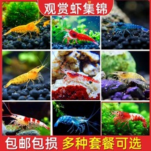 �ښ��r�����r��ˮ�r���^�p�r�坍�~�ͻ���B�Ꭷ�^�p�~����ˮ���r