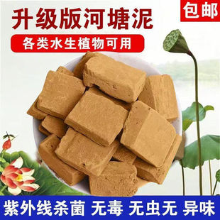 ��Ȼ������ˮ��ֲ����ɏ�~�X�݌��ú�����I�B��30���B�~ˮ��Nֲ