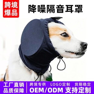 ����������� ���� �����o�� �����Q������������