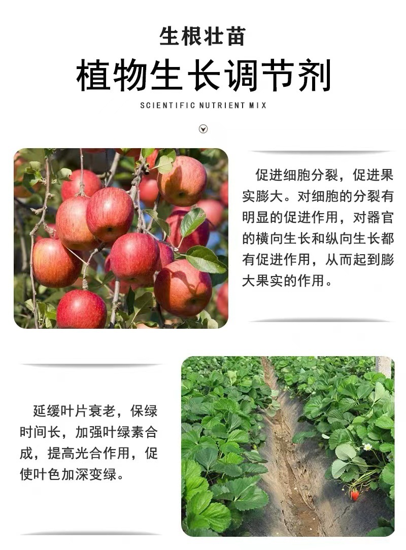 微信图片_20240102153305