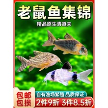 �����ח������~�����󻨽����������~�����~�^�p�Ꭷ�����~���w