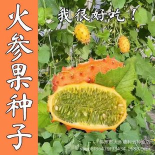 ���ڻ������N�� ���������ǹ��N������ͥԺ̨�ļ�����ˮ���N��