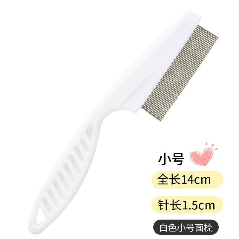 화이트