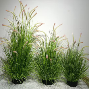 Dog's Tail Grass Artificial Flower Reed Grass False Grass Group Green Plant Model Room Caterpillar Cat's Tail Grass Flower Box Decorative Landscape