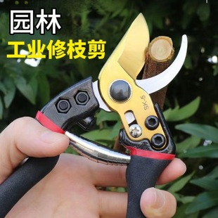 Strong and labor-saving pruning shears industrial forged garden scissors cross-border for fruit trees thick branch pruning scissors floral branch scissors