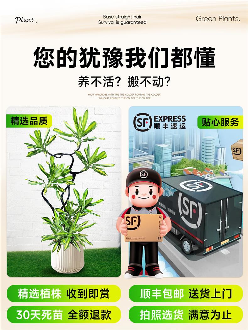 详情图