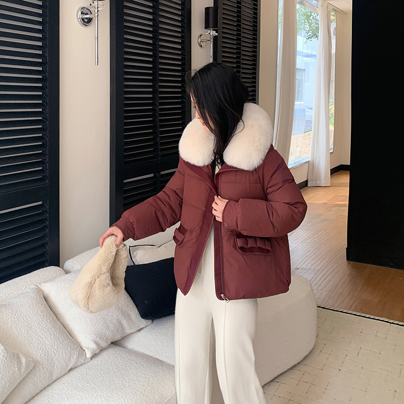 Comercio exterior 2025 ropa de algodón de mujer con solapa de gran cuello de cabello corto de invierno nuevo abrigo suelto ropa de algodón coreana image 4
