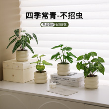 �k��������������Gֲ�҃����Թ�λС�[��ins����ֲ��ٻ��辰