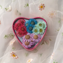 针菊 干花压花diy书签滴胶团扇手机壳押花材料植物标本贴脸花