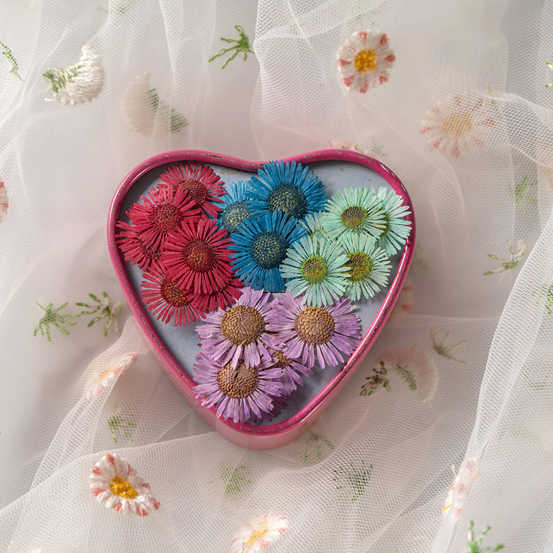Dried Chrysanthemum Flower Embossed diy Bookmark Dropping Glue Fan Mobile Phone Shell Baffle Material Plant Specimen Face Flower