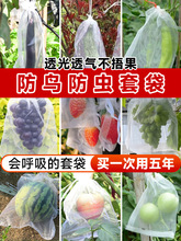 ˮ���״����ь����״��Ϲ����x���B�������o���W���o����ʯ�����