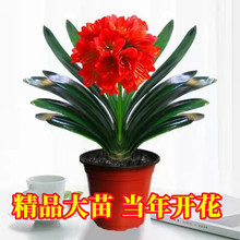 ��Ʒ�����m�����҃Ȼ��ܾ����m�����ļ���������m���m�������_��