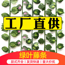 ���������~��ɽ���~�����٘��~����G�~�Gֲ��픹ܵ��p�@�b����l